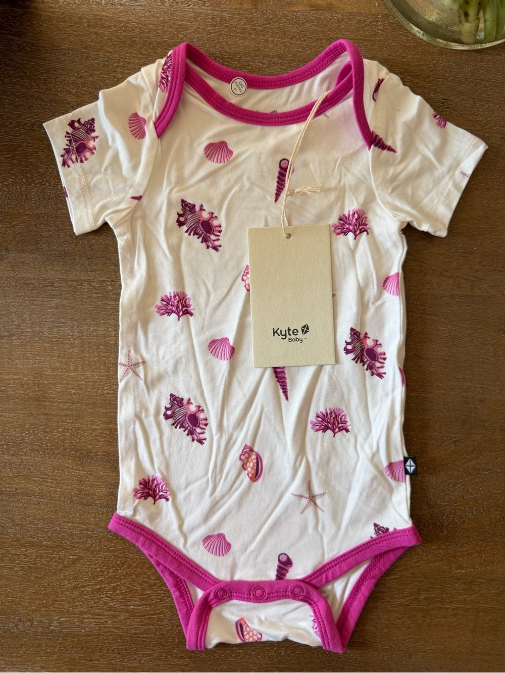 Kyte BABY White One-Piece with Pink Shell Print